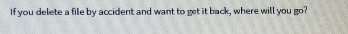 If you delete a file by accident and want to get it back, where will you go?
