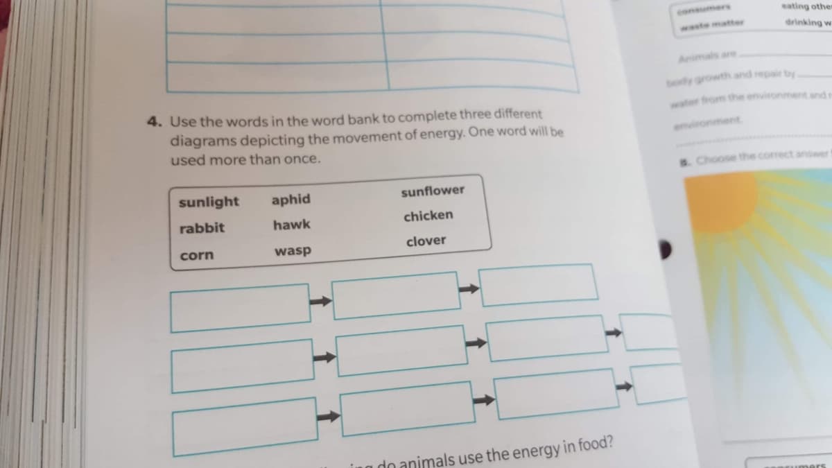 consumers
eating other
waste matter
drinking w
Animals are
body growth and repair by
4. Use the words in the word bank to complete three different
water from the environment and r
diagrams depicting the movement of energy. One word will be
used more than once.
evironment
S. Choose the correct answer
sunlight
aphid
sunflower
rabbit
hawk
chicken
corn
wasp
clover
na do animals use the energy in food?

