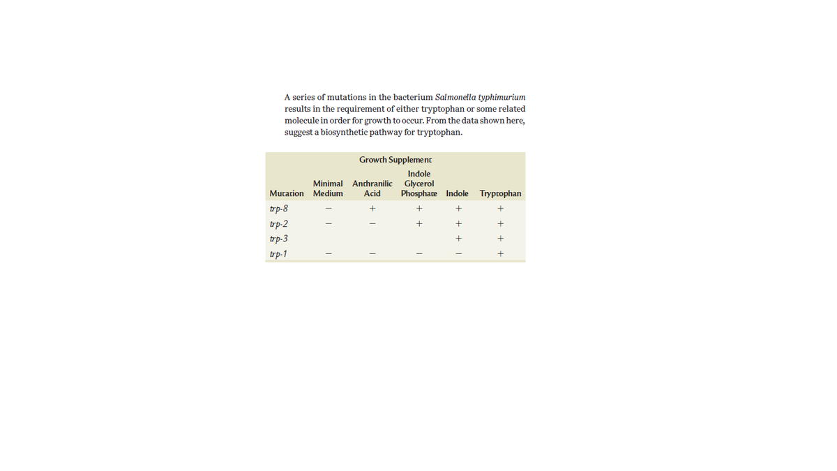 A series of mutations in the bacterium Salmonella typhimurium
results in the requirement of either tryptophan or some related
molecule in order for growth to occur. From the data shown here,
suggest a biosynthetic pathway for tryptophan.
Growch Supplement
Indole
Glycerol
Phosphate Indole Tryptophan
Minimal Anchranilic
Muracion Medium
Acid
trp-8
trp-2
trp-3
trp-1
