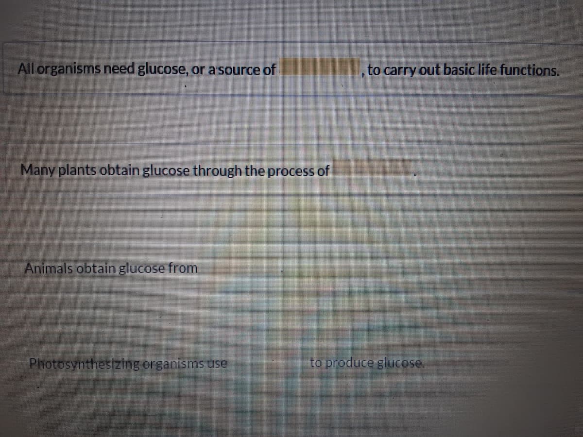 All organisms need glucose, or a source of
to carry out basic life functions.
Many plants obtain glucose through the process of
Animals obtain glucose from
Photosynthesizing organisms use
to produce glucose.
