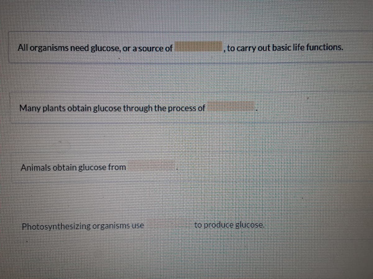 All organisms need glucose, or a source of
to carry out basic life functions.
Many plants obtain glucose through the process of
Animals obtain glucose from
Photosynthesizing organisms use
to produce glucose.
