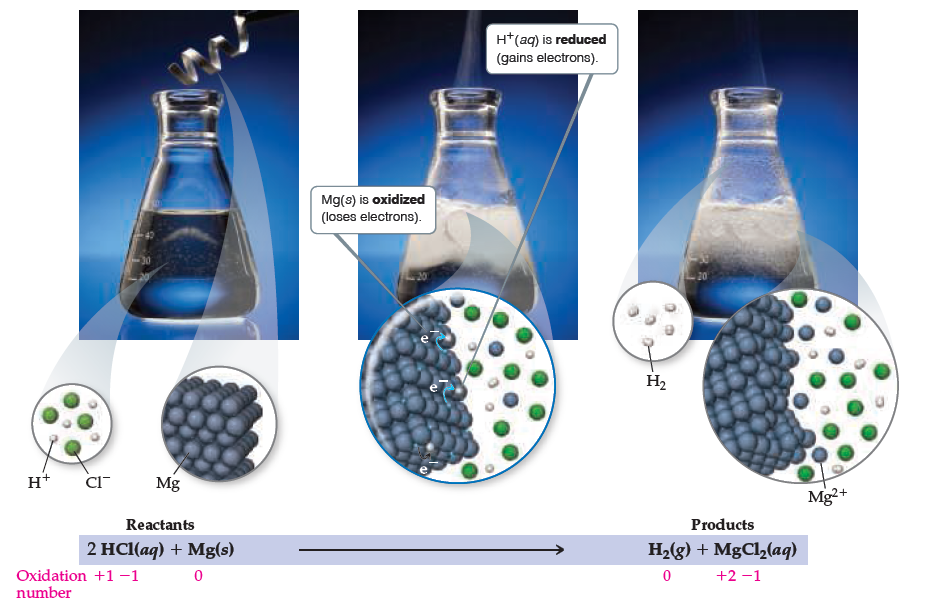 H*(aq) is reduced
(gains electrons).
Mg(s) is oxidized
(loses electrons).
H2
H* cr
Mg
Mg2+
Reactants
Products
2 HCl(aq) + Mg(s)
H2(g) + MgCl½(aq)
Oxidation +1 -1
number
+2 -1
