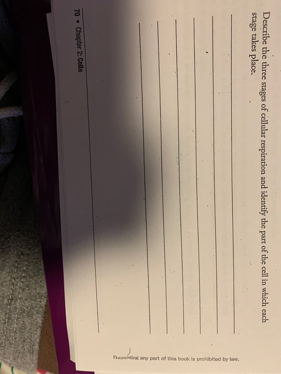 Duyneating
any part of this book is prohibited by law.
Describe the three stages of cellular respiration and identify the part of the cell in which each
stage takes place.
70
Chapter 2: Cells
