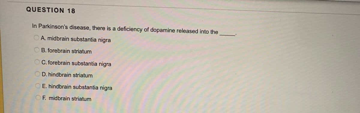 QUESTION 18
In Parkinson's disease, there is a deficiency of dopamine released into the
O A. midbrain substantia nigra
O B. forebrain striatum
O C. forebrain substantia nigra
D. hindbrain striatum
E. hindbrain substantia nigra
F. midbrain striatum
