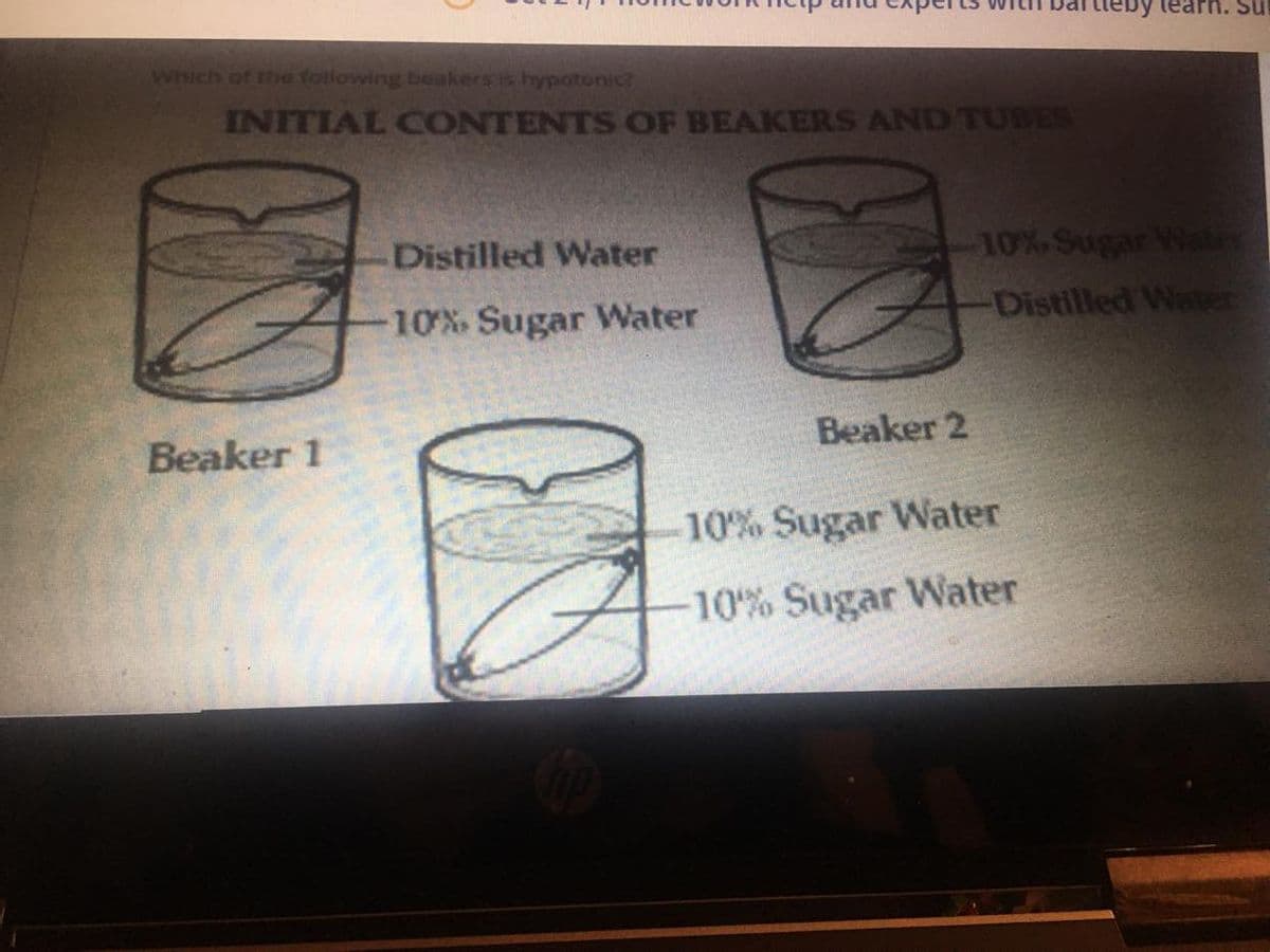 Su
Which of the following beakers is hypotonic?
INITIAL CONTENTS OF BEAKERS AND TUBES
Distilled Water
10% Sugar Waes
10% Sugar Water
Distilled Water
Beaker 1
Beaker 2
10% Sugar Water
10% Sugar Water
