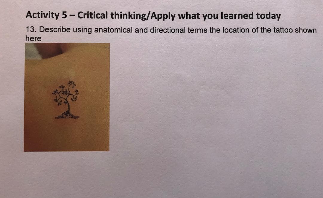 Activity 5 - Critical thinking/Apply what you learned today
13. Describe using anatomical and directional terms the location of the tattoo shown
here
