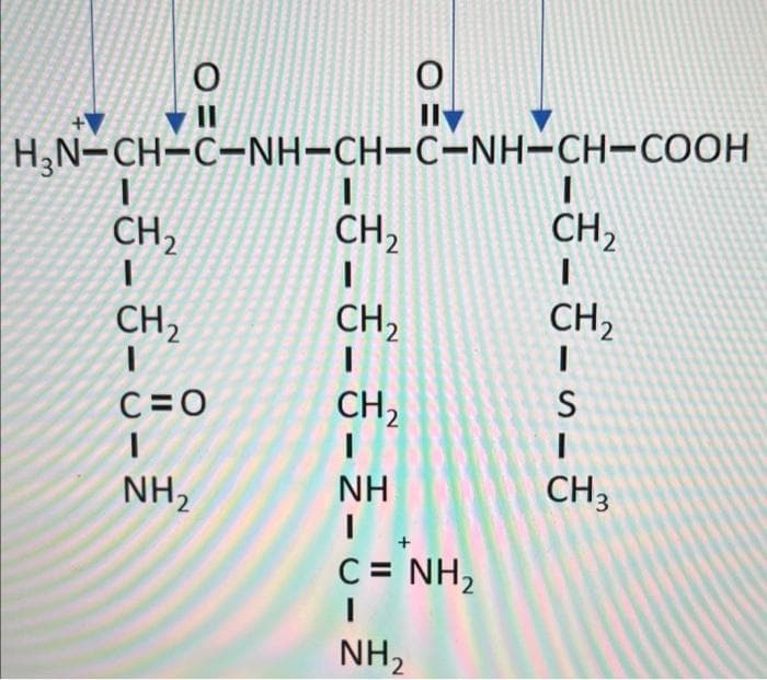 H,N-CH-C-NH-CH-C-NH-CH-COOH
CH,
CH,
CH,
CH,
CH,
CH,
C=0
CH2
NH,
NH
CH3
C = NH2
NH,
+
