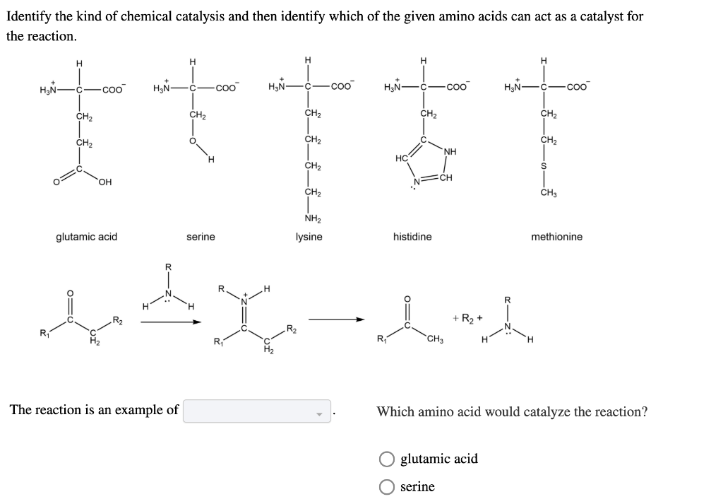 Identify the kind of chemical catalysis and then identify which of the given amino acids can act as a catalyst for
the reaction.
H.
H.
H.
H,N-
H,N-
H,N-
H,N-
-coo
-coo
coo
-coo
ČH2
CH2
CH2
CH2
ČH2
CH2
ČH,
CH,
NH
HC
CH,
CH
OH
CH2
CH3
NH2
glutamic acid
serine
lysine
histidine
methionine
R2
+ R2 +
R2
R
R
CH3
H
The reaction is an example of
Which amino acid would catalyze the reaction?
glutamic acid
serine
