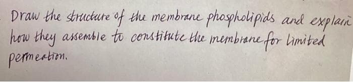 Draw the structure of the membrane phospholipids and explari
how they assemble to constitute the membrane for limited
permeatim.
