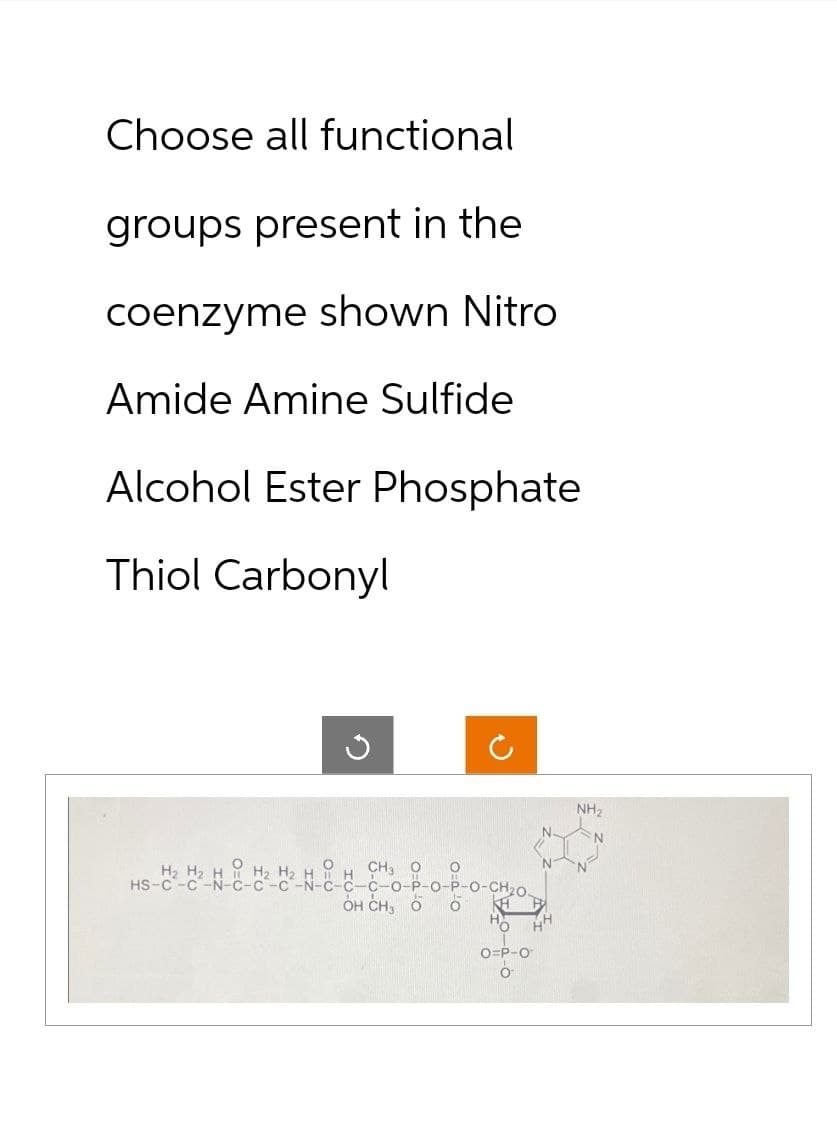 Choose all functional
groups present in the
coenzyme shown Nitro
Amide Amine Sulfide
Alcohol Ester Phosphate
Thiol Carbonyl
G
O
HS-H²-H²-NC-H²-H²-N-C-CC-OP-O-P-O-CH₂0
TH
OH CH3 Ö 0 KH B
'O
HH
N
N
O=P-O
O
NH₂
N