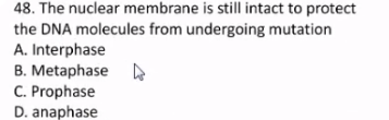 48. The nuclear membrane is still intact to protect
the DNA molecules from undergoing mutation
A. Interphase
B. Metaphase A
C. Prophase
D. anaphase
