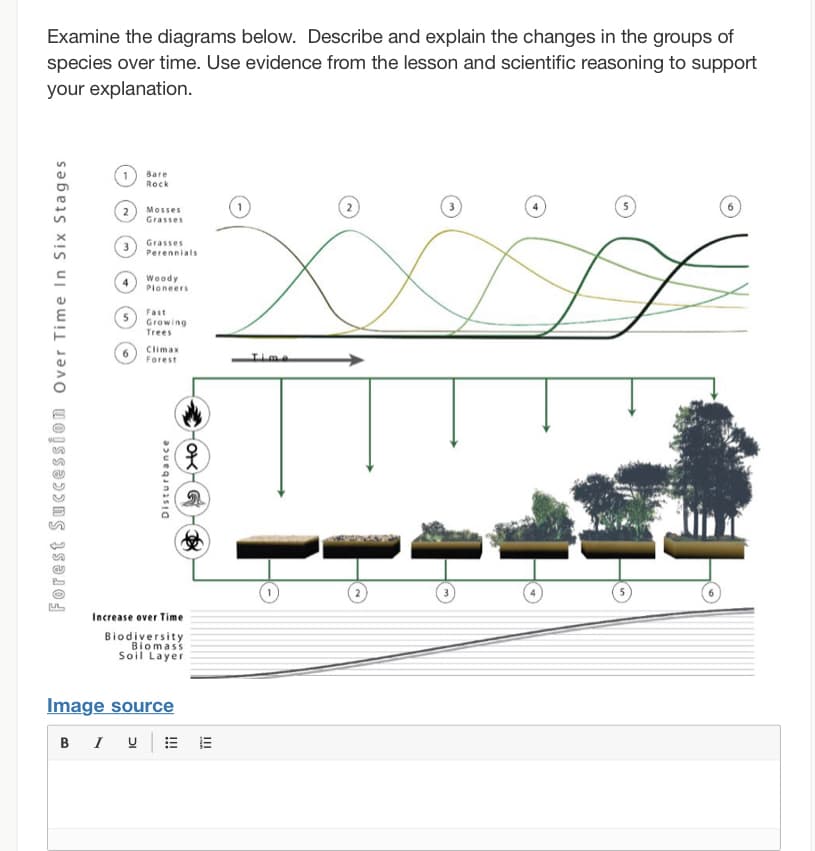 Examine the diagrams below. Describe and explain the changes in the groups of
species over time. Use evidence from the lesson and scientific reasoning to support
your explanation.
Bare
Rock
Mosses
Grasses
Grasses
Perennials
Woody
Ploneers
Fast
Growing
Trees
Climax
Forest
ILme
Increase over Time
Biodiversity
Biomass
Soil Layer
Image source
B I U
OK G -
II
Disturbance
!!!
Forest SuCCESSion over Time In Six Stages
