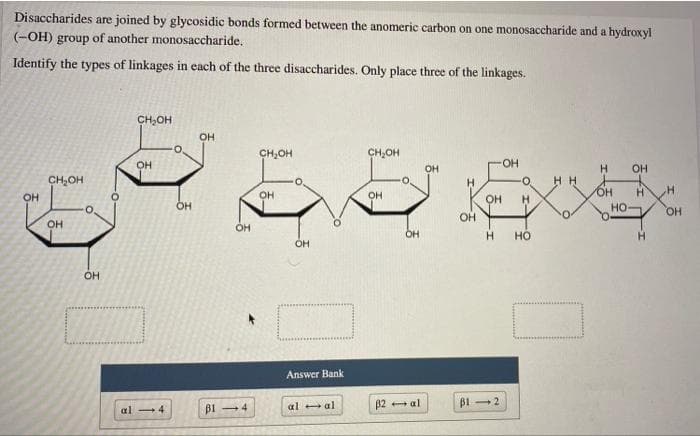 Disaccharides are joined by glycosidic bonds formed between the anomeric carbon on one monosaccharide and a hydroxyl
(-OH) group of another monosaccharide.
Identify the types of linkages in each of the three disaccharides. Only place three of the linkages.
CH,OH
OH
O.
CH,OH
CH,OH
OH
OH
OH
Он
CH,OH
H.
O.
H H
OH
OH
OH
H.
HO.
OH
но-
OH
OH
OH
OH
H.
но
OH
Answer Bank
al al
p2 al
B1 2
al 4
B1 -4
