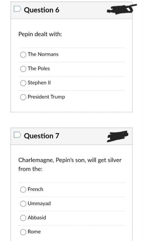 Question 6
Pepin dealt with:
The Normans
The Poles
Stephen II
President Trump
Question 7
Charlemagne, Pepin's son, will get silver
from the:
French
Ummayad
Abbasid
Rome