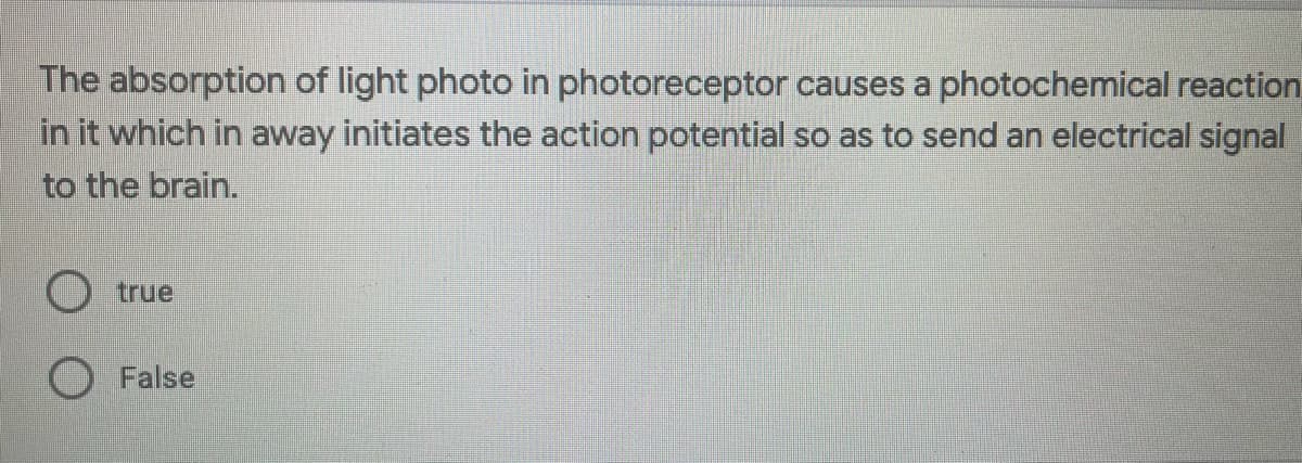 The absorption of light photo in photoreceptor causes a photochemical reaction
in it which in away initiates the action potential so as to send an electrical signal
to the brain.
true
O False
