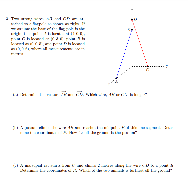 3. Two strong wires AB and CD are at-
tached to a flagpole as shown at right. If
we assume the base of the flag pole is the
origin, then point A is located at (4, 0, 0),
point C is located at (0,3,0), point B is
located at (0,0, 5), and point D is located
at (0,0, 6), where all measurements are in
B
metres.
-> Y
C
(a) Determine the vectors AB and CD. Which wire, AB or CD, is longer?
(b) A possum climbs the wire AB and reaches the midpoint P of this line segment. Deter-
mine the coordinates of P. How far off the ground is the possum?
(c) A marsupial rat starts from C and climbs 2 metres along the wire CD to a point R.
Determine the coordinates of R. Which of the two animals is furthest off the ground?
