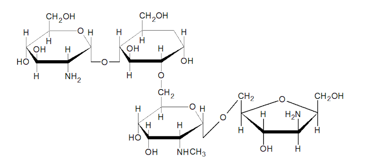 CH,OH
CH,OH
H
H
H
H
он
H
он
H
но
он
H
NH,
H
CH,
CH2
CH2OH
H
H
H
H
H,N
H
H
H
но
ОН
ÓH
NHCH3
