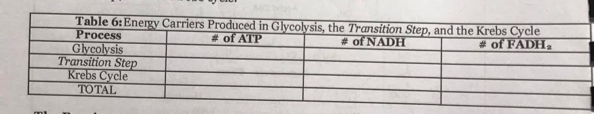 Table 6:Energy Carriers Produced in Glycolysis, the Transition Step, and the Krebs Cycle
Process
# of ATP
# of NADH
# of FADH2
Glycolysis
Transition Step
Krebs Cycle
TOTAL
