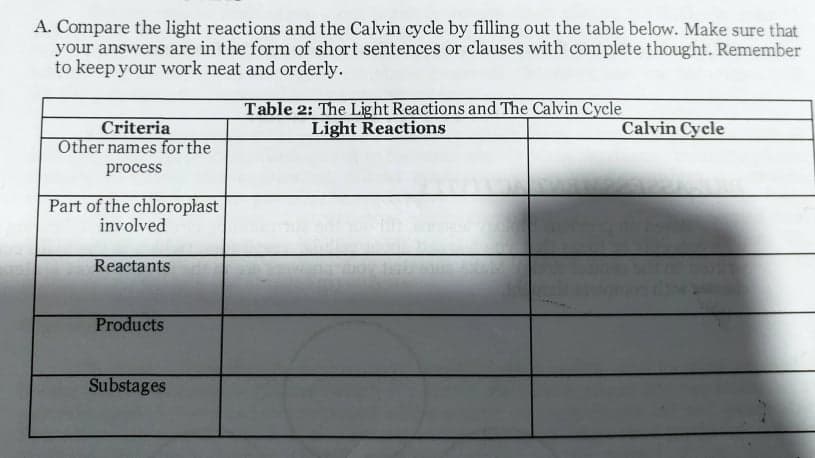 A. Compare the light reactions and the Calvin cycle by filling out the table below. Make sure that
your answers are in the form of short sentences or clauses with complete thought. Remember
to keep your work neat and orderly.
Table 2: The Light Reactions and The Calvin Cycle
Light Reactions
Criteria
Other names for the
process
Calvin Cycle
Part of the chloroplast
involved
Reactants
Products
Substages
