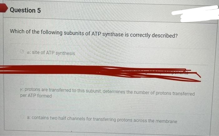 Question 5
Which of the following subunits of ATP synthase is correctly described?
a: site of ATP synthesis
y: protons are transferred to this subunit, determines the number of protons transferred
per ATP formed
a: contains two half channels for transferring protons across the membrane