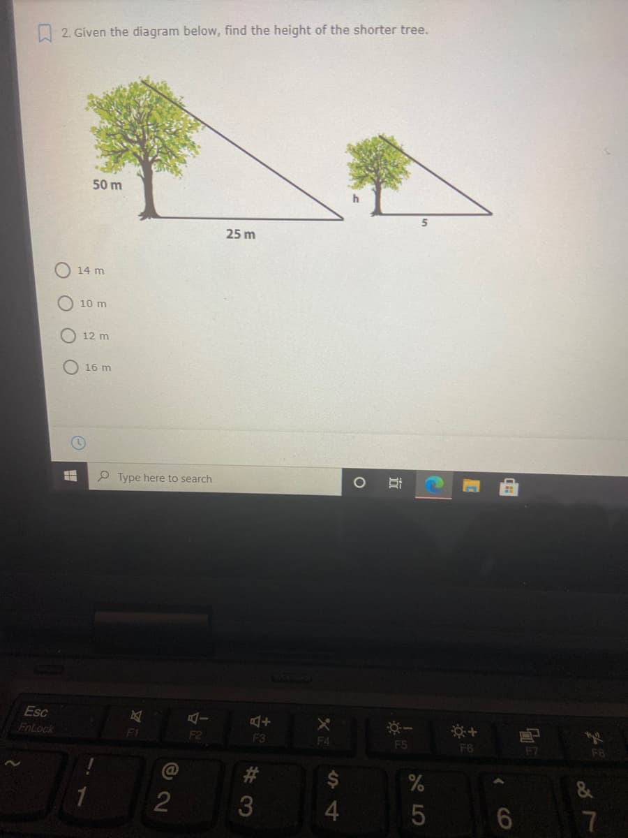 A 2. Given the diagram below, find the height of the shorter tree.
50 m
5
25 m
14 m
10 m
12 m
16 m
P Type here to search
Esc
FnLock
F2
F3
F4
F5
F6
F7
F8
#3
7
CO
近
