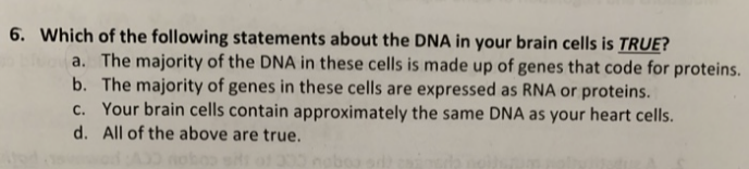 6. Which of the following statements about the DNA in your brain cells is TRUE?
a. The majority of the DNA in these cells is made up of genes that code for proteins.
b. The majority of genes in these cells are expressed as RNA or proteins.
c. Your brain cells contain approximately the same DNA as your heart cells.
d. All of the above are true.