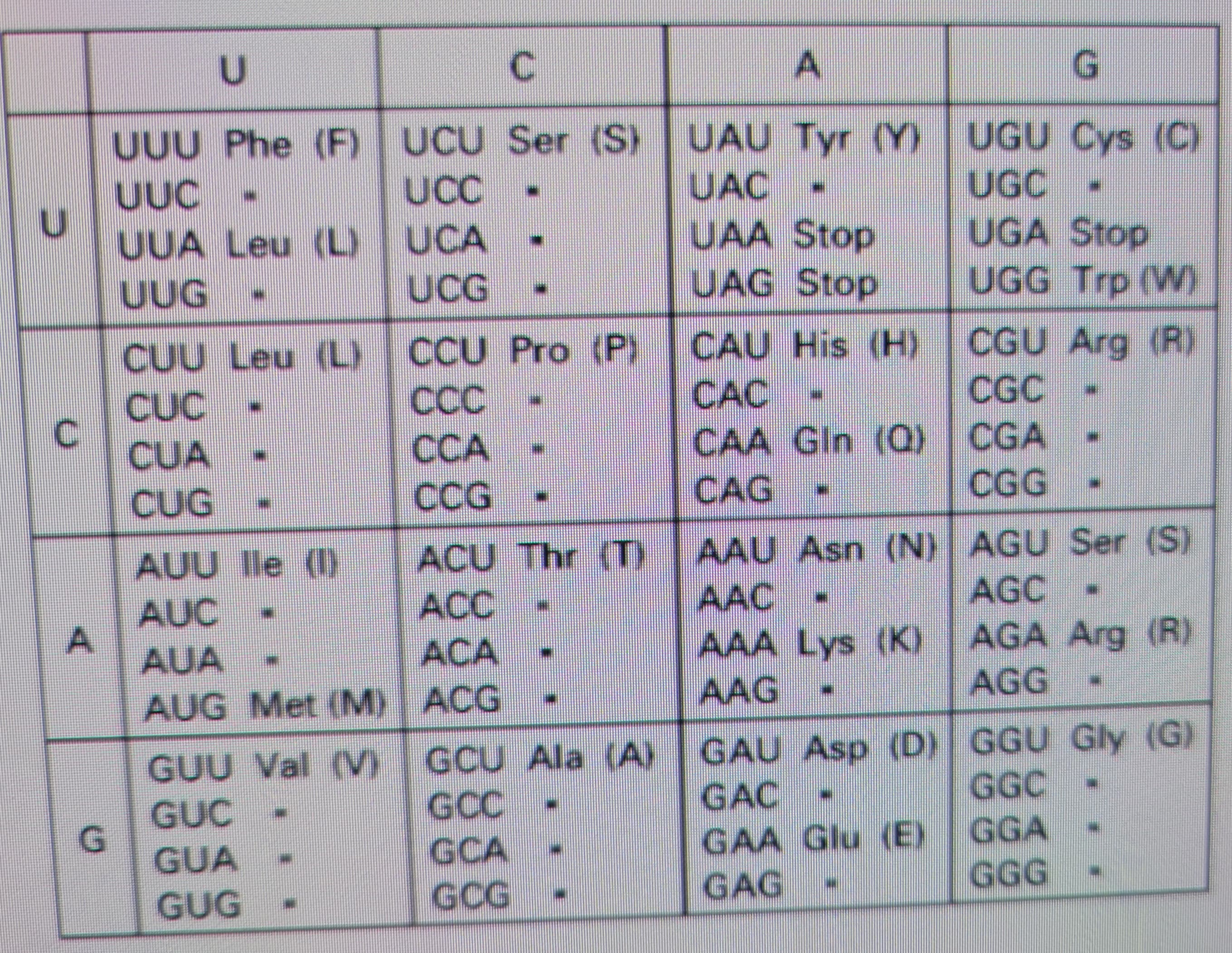 U
C
A
U
C
UUU Phe (F) UCU Ser (S)
UUC
UCC
UUA Leu (L) UCA
UUG
UCG
CUU Leu (L) CCU Pro (P)
CUC
COO
CUA
CCA
CUG
CCG
AUU lle (1)
AUC
AUA
AUG Met (M)
GUU Val (V)
GUC
GUA
GUG
ACU Thr (T)
ACC
ACA
ACG
A
UAU Tyr (Y)
UAC
UAA Stop
UAG Stop
G
UGU Cys (C)
UGC
UGA Stop
UGG Trp (W)
CAU His (H)
CGU Arg (R)
CAC
CGC
CAA Gin (Q) CGA
CAG
CGG
AAU Asn (N) AGU Ser (S)
AAC
AGC
AAA Lys (K)
AGA Arg (R)
AAG
AGG
GCU Ala (A) GAU Asp (D) GGU Gly (G)
GCC
GAC
GGC
GCA
GAA Glu (E) GGA
GOG
GAG -
GGG