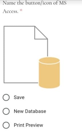 Name the button/icon of MS
Access. *
O Save
O New Database
O Print Preview
