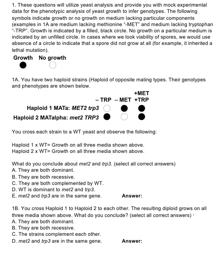 1. These questions will utilize yeast analysis and provide you with mock experimental
data for the phenotypic analysis of yeast growth to infer genotypes. The following
symbols indicate growth or no growth on medium lacking particular components
(examples in 1A are medium lacking methionine "-MET" and medium lacking tryptophan
"-TRP". Growth is indicated by a filled, black circle. No growth on a particular medium is
indicated by an unfilled circle. In cases where we look viability of spores, we would use
absence of a circle to indicate that a spore did not grow at all (for example, it inherited a
lethal mutation).
Growth No growth
1A. You have two haploid strains (Haploid of opposite mating types. Their genotypes
and phenotypes are shown below.
+MET
- TRP - MET +TRP
Haploid 1 MATA: MET2 trp3
Haploid 2 MATalpha: met2 TRP3
You cross each strain to a WT yeast and observe the following:
Haploid 1 x WT= Growth on all three media shown above.
Haploid 2 x WT= Growth on all three media shown above.
What do you conclude about met2 and trp3. (select all correct answers)
A. They are both dominant.
B. They are both recessive.
C. They are both complemented by WT.
D. WT is dominant to met2 and trp3.
E. met2 and trp3 are in the same gene.
Answer:
1B. You cross Haploid 1 to Haploid 2 to each other. The resulting diploid grows on all
three media shown above. What do you conclude? (select all correct answers)
A. They are both dominant.
B. They are both recessive.
C. The strains complement each other.
D. met2 and trp3 are in the same gene.
Answer:
