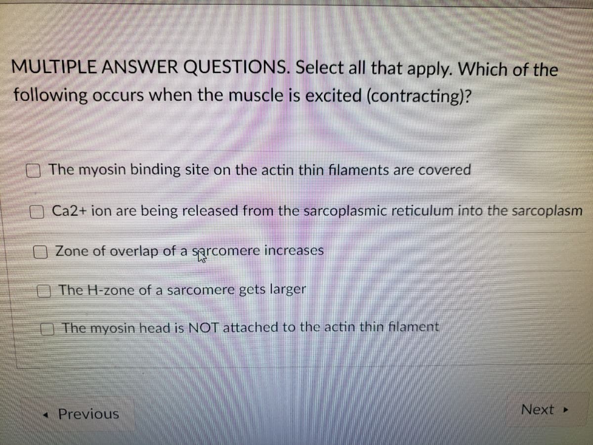 MULTIPLE ANSWER QUESTIONS. Select all that apply. Which of the
following occurs when the muscle is excited (contracting)?
The myosin binding site on the actin thin filaments are covered
Ca2+ ion are being released from the sarcoplasmic reticulum into the sarcoplasm
Zone of overlap of a sprcomere increases
The H-zone of a sarcomere gets larger
O The myosin head is NOT attached to the actin thin filament
- Previous
Next
