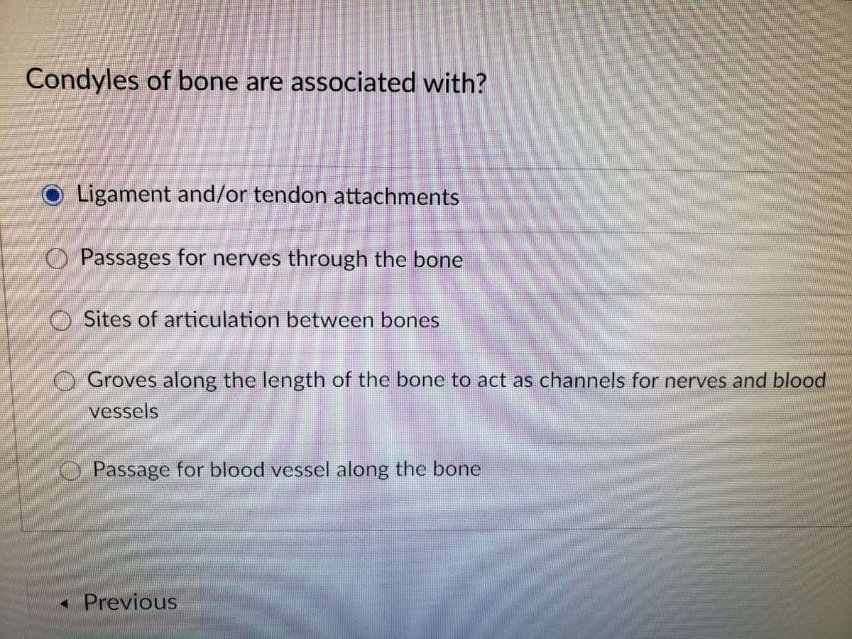 Condyles of bone are associated with?
Ligament and/or tendon attachments
O Passages for nerves through the bone
O Sites of articulation between bones
Groves along the length of the bone to act as channels for nerves and blood
vessels
O Passage for blood vessel along the bone
- Previous
