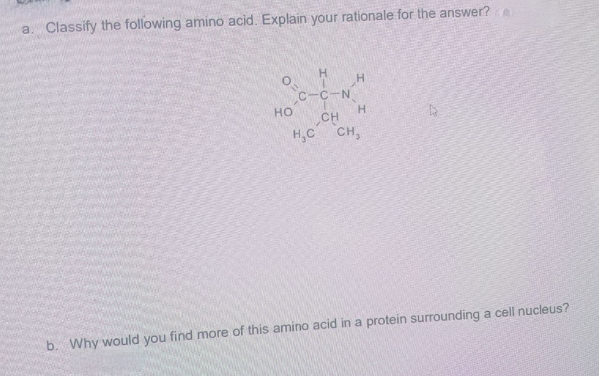 a. Classify the following amino acid. Explain your rationale for the answer?
H
H
SK
C-C-N
HO
H
CH
HỌC CH,
b. Why would you find more of this amino acid in a protein surrounding a cell nucleus?
0=