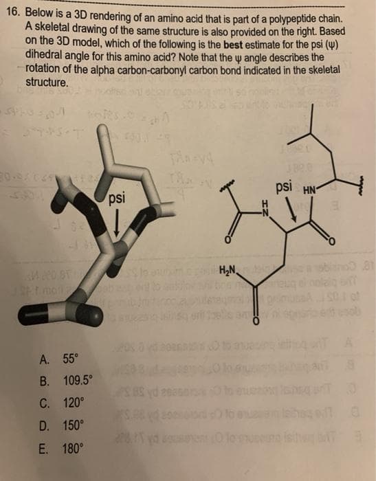 16. Below is a 3D rendering of an amino acid that is part of a polypeptide chain.
A skeletal drawing of the same structure is also provided on the right. Based
on the 3D model, which of the following is the best estimate for the psi (4)
dihedral angle for this amino acid? Note that the w angle describes the
rotation of the alpha carbon-carbonyl carbon bond indicated in the skeletal
structure.
psi HN
504
psi
H2N,
blanoo a1
of
A. 55°
B. 109.5°
С. 120°
D. 150°
2yd s 0 1o sng ishe T
E. 180°
