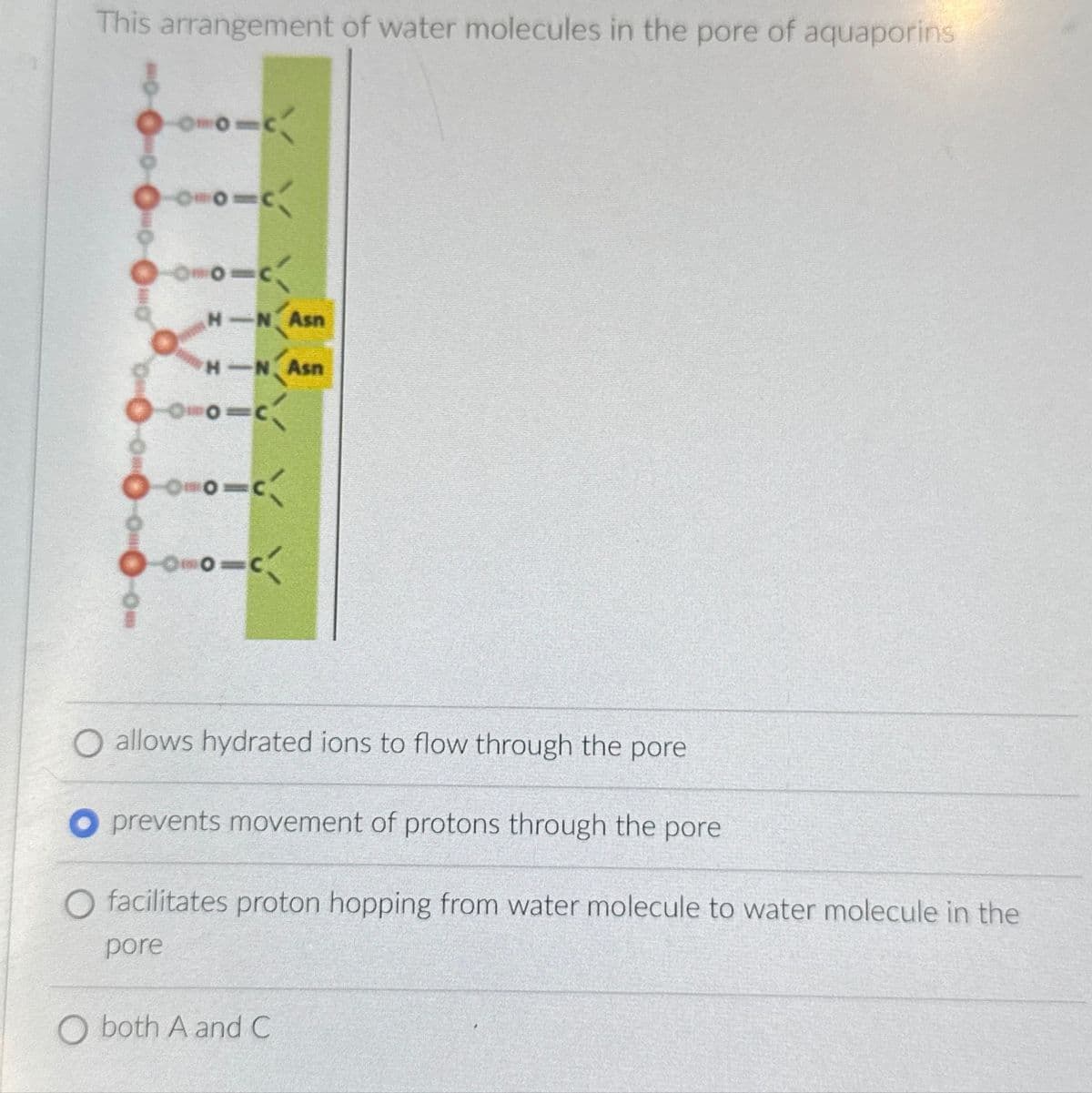 This arrangement of water molecules in the pore of aquaporins
Omo=c
-O=o=c
00101c
H-N Asn
H-N Asn
-O=³0=c
-O=o=c
-Omo=c
allows hydrated ions to flow through the pore
prevents movement of protons through the pore
O facilitates proton hopping from water molecule to water molecule in the
pore
O both A and C