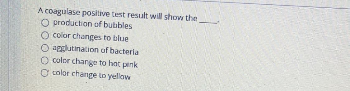 A coagulase positive test result will show the
production of bubbles
color changes to blue
agglutination of bacteria
color change to hot pink
O color change to yellow
