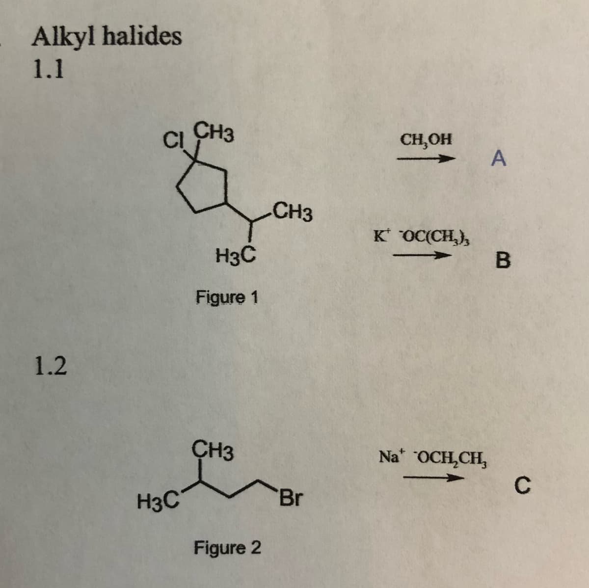 Alkyl halides
1.1
CH3
CI
CH,OH
CH3
K* OC(CH,},
В
H3C
Figure 1
1.2
CH3
Na OCH,CH,
C
Br
H3C
Figure 2
