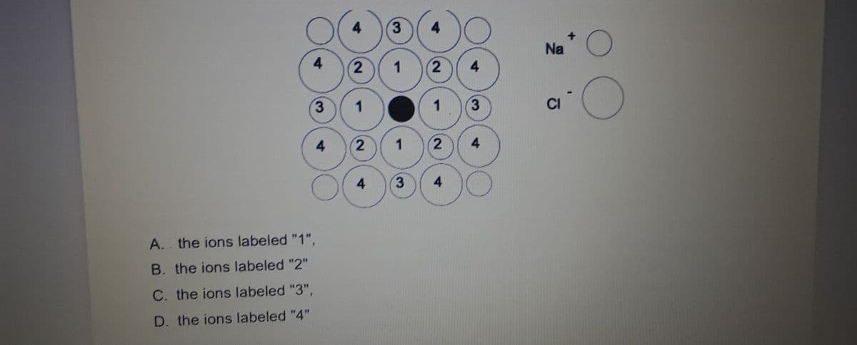 4
3
A. the ions labeled "1".
B. the ions labeled "2"
C. the ions labeled "3",
D. the ions labeled "4"
4
2
1
2
4
3
1
1
3
2
1
2
4
4
3
4
Na
CI
O
O