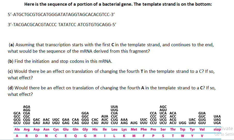 (d) Would there be an effect on translation of changing the fourth A in the template strand to a C? If so,
what effect?
