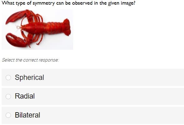 What type of symmetry can be observed in the given image?
Select the correct response:
O Spherical
O Radial
Bilateral

