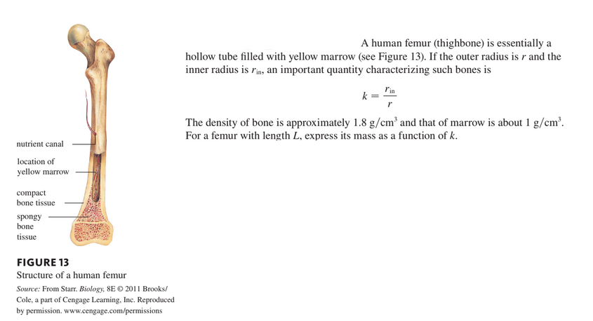 A human femur (thighbone) is essentially a
hollow tube filled with yellow marrow (see Figure 13). If the outer radius is r and the
inner radius is rin, an important quantity characterizing such bones is
r'in
k =
The density of bone is approximately 1.8 g/cm’ and that of marrow is about 1 g/cm'.
For a femur with length L, express its mass as a function of k.
nutrient canal
location of
yellow marrow
compact
bone tissue
spongy
bone
tissue
FIGURE 13
Structure of a human femur
Source: From Starr. Biology, 8E © 2011 Brooks/
Cole, a part of Cengage Learning, Inc. Reproduced
by permission. www.cengage.com/permissions
