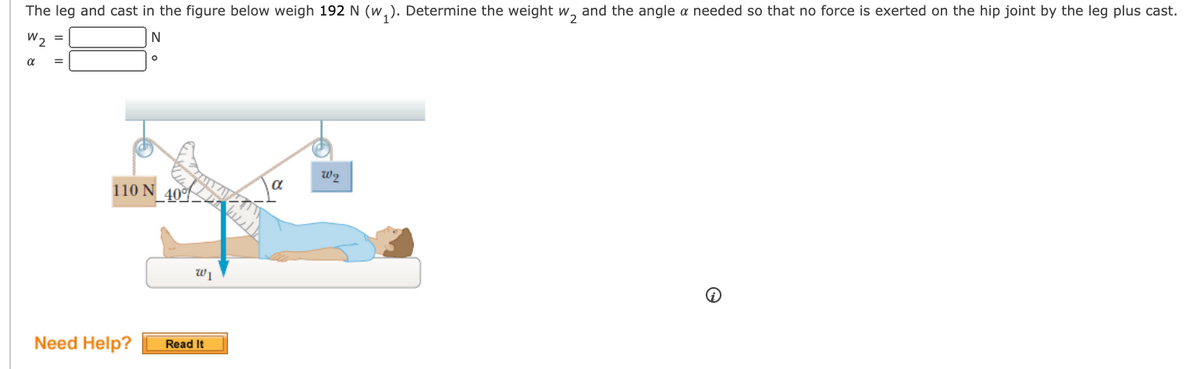 The leg and cast in the figure below weigh 192 N (w,). Determine the weight w, and the angle a needed so that no force is exerted on the hip joint by the leg plus cast.
2
W2
N
110 N
Wi
Need Help?
Read It
