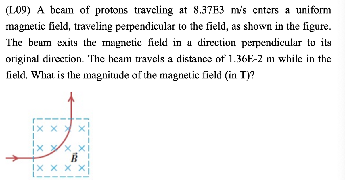 **Problem (L09):**

A beam of protons traveling at \(8.37 \times 10^3\) m/s enters a uniform magnetic field, traveling perpendicular to the field, as shown in the figure. The beam exits the magnetic field in a direction perpendicular to its original direction. The beam travels a distance of \(1.36 \times 10^{-2}\) m while in the field. What is the magnitude of the magnetic field (in T)?

**Explanation of the Diagram:**

The diagram shows a proton beam entering a square region with a uniform magnetic field denoted by \( \vec{B} \), represented by a series of 'X' marks indicating that the magnetic field is directed into the plane of the screen. 

- Upon entering the magnetic field, the proton beam, initially traveling horizontally to the right, follows a curved path.
- This curved path indicates that the proton is subjected to a force due to the magnetic field, which causes it to undergo circular motion.
- The proton exits the magnetic field, continuing upwards, perpendicular to its original direction of travel, indicating a quarter-circle movement within the field.
