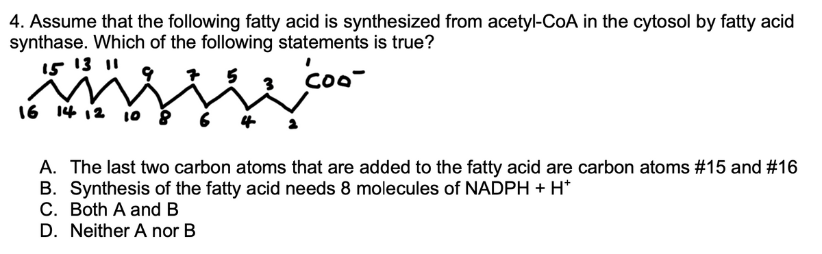 ### Fatty Acid Synthesis Question

**Question**: Assume that the following fatty acid is synthesized from acetyl-CoA in the cytosol by fatty acid synthase. Which of the following statements is true?

**Diagram Description**:
The diagram illustrates a linear fatty acid chain with 16 carbon atoms. The chain is labeled with carbon atoms numbered from 1 to 16. The structure indicates the following features:

- The carbon atoms are labeled starting from the terminal carboxyl (COO⁻) group, which is denoted as carbon 1.
- The sequence of carbon atoms increases toward the end of the chain, reaching carbon 16 at the other end.

**Answer Options**:
A. The last two carbon atoms that are added to the fatty acid are carbon atoms #15 and #16.

B. Synthesis of the fatty acid needs 8 molecules of NADPH + H⁺.

C. Both A and B.

D. Neither A nor B.

Choose the correct option based on the given fatty acid synthesis pathway and requirements. 

This question tests your understanding of the synthesis of fatty acids by fatty acid synthase and the utilization of cofactors.
