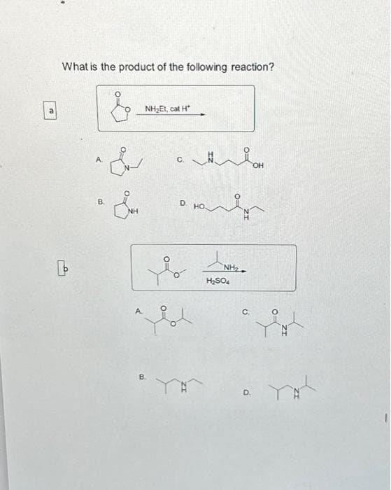 What is the product of the following reaction?
&
Lo
B.
NH
NHIỆT, CON H
B
C.
а колян
D.
b
NH₂
ل
H₂SO4
C.
OH