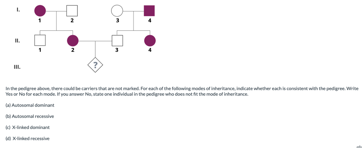 I.
II.
III.
1
2
2
?
3
3
4
4
In the pedigree above, there could be carriers that are not marked. For each of the following modes of inheritance, indicate whether each is consistent with the pedigree. Write
Yes or No for each mode. If you answer No, state one individual in the pedigree who does not fit the mode of inheritance.
(a) Autosomal dominant
(b) Autosomal recessive
(c) X-linked dominant
(d) X-linked recessive