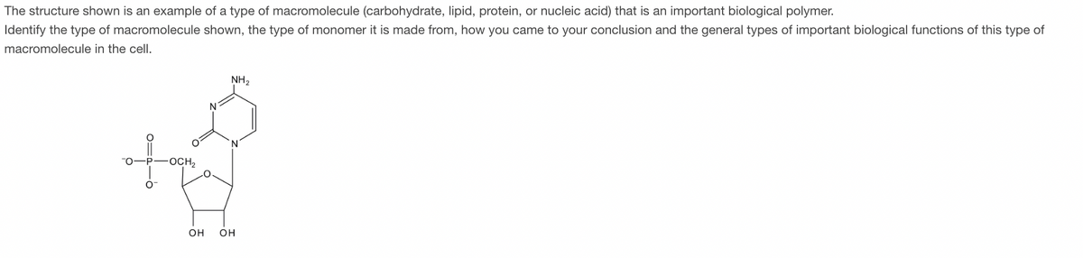 The structure shown is an example of a type of macromolecule (carbohydrate, lipid, protein, or nucleic acid) that is an important biological polymer.
Identify the type of macromolecule shown, the type of monomer it is made from, how you came to your conclusion and the general types of important biological functions of this type of
macromolecule in the cell.
0=210
+
OCH₂
NH₂
OH OH