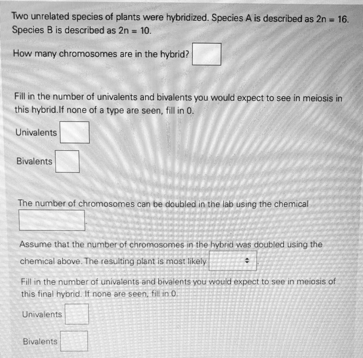 Two unrelated species of plants were hybridized. Species A is described as 2n = 16.
Species B is described as 2n = 10.
%3D
How many chromosomes are in the hybrid?
Fill in the number of univalents and bivalents you would expect to see in meiosis in
this hybrid.If none of a type are seen, fill in 0.
Univalents
Bivalents
The number of chromosomnes can be doubled in the lab using the chemical
Assume that the number of chromosomes in the hybrid was doubled using the
chemical above. The resulting plant is most likely
Fill in the number of univalents and bivalents you would expect to see in meiosis of
this final hybrid.
none are seen, fill in 0,
Univalents
Bivalents
