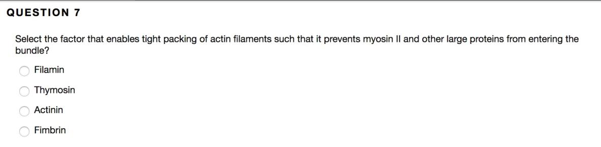 QUESTION 7
Select the factor that enables tight packing of actin filaments such that it prevents myosin Il and other large proteins from entering the
bundle?
Filamin
Thymosin
Actinin
Fimbrin
