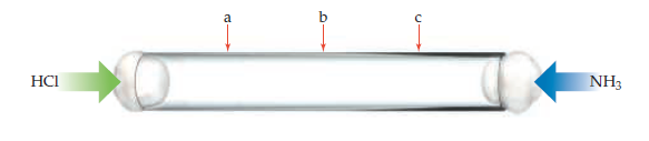 HCI
NH3
