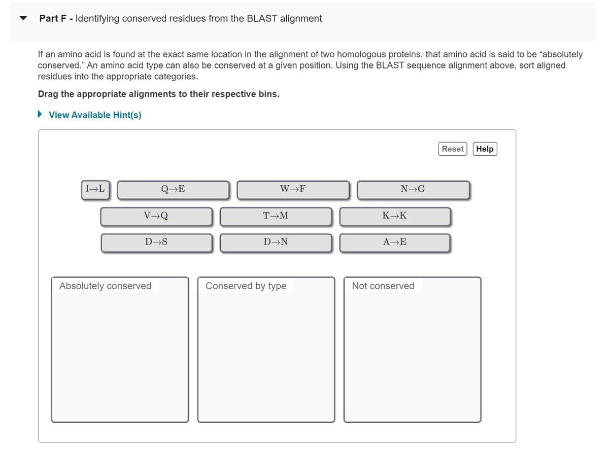 Part F - Identifying conserved residues from the BLAST alignment
If an amino acid is found at the exact same location in the alignment of two homologous proteins, that amino acid is said to be "absolutely
conserved." An amino acid type can also be conserved at a given position. Using the BLAST sequence alignment above, sort aligned
residues into the appropriate categories.
Drag the appropriate alignments to their respective bins.
► View Available Hint(s)
I→L
QE
V→Q
D→S
Absolutely conserved
W→F
T→M
D→N
Conserved by type
N→G
K→K
A→E
Not conserved
Reset Help